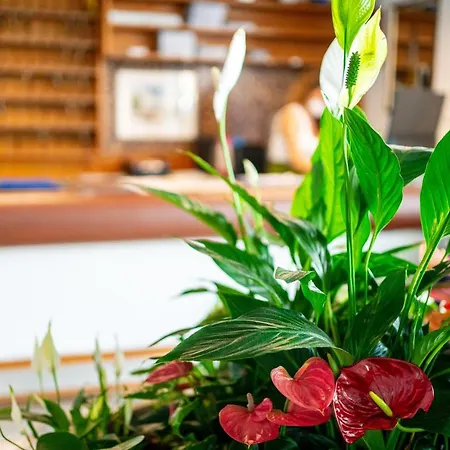 Stacchini Hotel Cesenatico